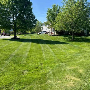 yard service by Get er Done Grass Cutting reviewed on December 5, 2025