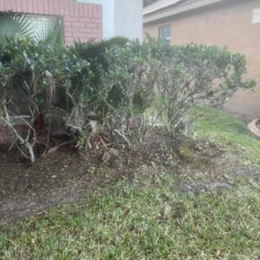 Leaf Removal by Farsight services reviewed on September 28, 2025