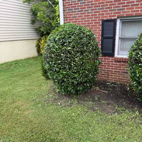Bush Trimming by Green City Landscaping Co LLC reviewed on July 26, 2026
