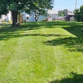 yard service by Legend Property Care LLC reviewed on June 19, 2024