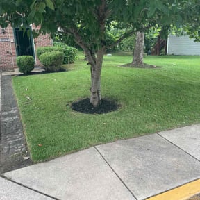 landscape maintenance by King's lawn care services reviewed on August 20, 2025