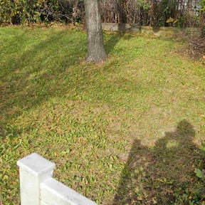 Leaf Removal by Grass Care By the Beach reviewed on November 20, 2025