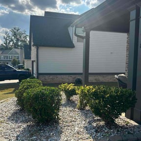 Bush Trimming by TruGreen LawnCare reviewed on November 10, 2025