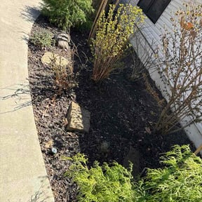 Leaf Removal by Forever Green Landscape reviewed on April 18, 2026