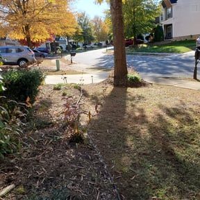 Leaf Removal by Home Endeavors llc reviewed on August 19, 2025