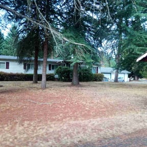 Leaf Removal by Tony’s Lawn Care reviewed on September 15, 2025