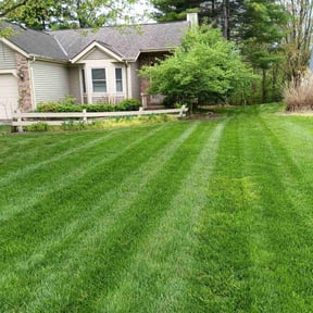 grass maintenance by Lawn Care Solutions  reviewed on November 9, 2017