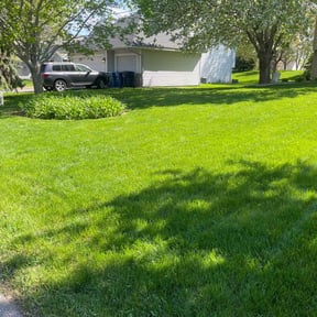 yard maintenance by D's Lawn Care reviewed on August 15, 2025