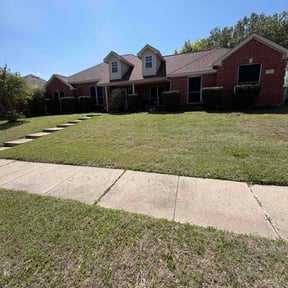 Bush Trimming by 1st choice lawn care reviewed on September 20, 2024