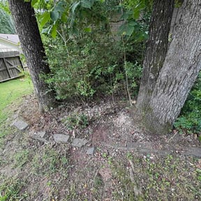Flower Bed Weeding by Part Time Hubby reviewed on June 12, 2026