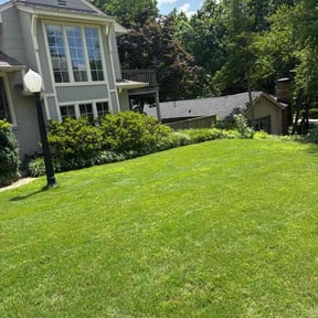 yard maintenance by TAJA Design and Build reviewed on August 13, 2025