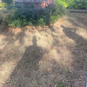 Leaf Removal by JR and Sons Lawn Service reviewed on March 18, 2026