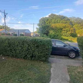 Bush Trimming by Gus lawn&#039;s reviewed on December 18, 2022