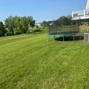 yard work by Peterson Boy Cargo &amp; Lawn reviewed on April 6, 2022