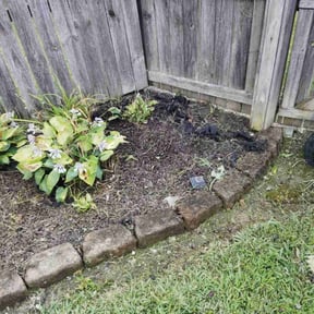 Flower Bed Weeding by #High Class Grass reviewed on December 8, 2025