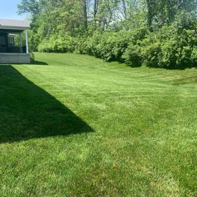 yard work by Richard Enterprise reviewed on November 21, 2025