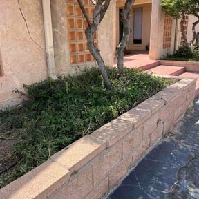 Bush Trimming by G@S lawncare reviewed on September 16, 2026
