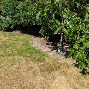Flower Bed Weeding by Smith property services reviewed on June 26, 2026