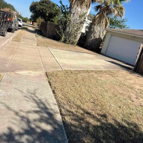 Leaf Removal by Chai reviewed on September 12, 2025