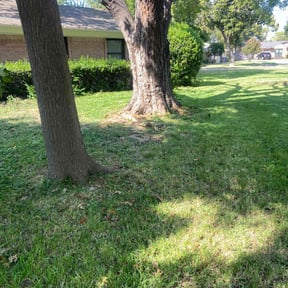 lawn care services by T &amp;O Landscape Service LLC reviewed on July 27, 2023