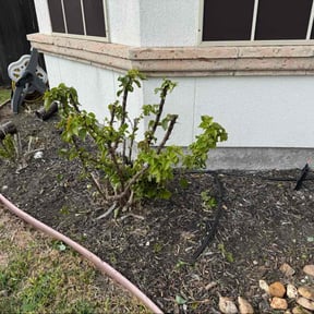 Flower Bed Weeding by A and J Landscaping reviewed on January 5, 2026