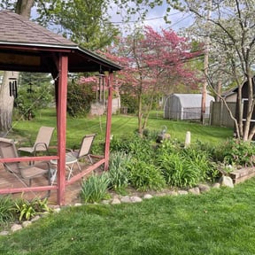 Leaf Removal by Jay's Landscaping reviewed on June 22, 2025