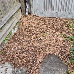 Leaf Removal by McNeil's lawn care &amp; maintenance reviewed on June 21, 2026