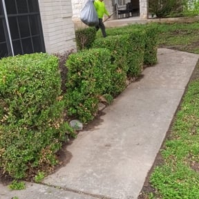 Bush Trimming by Evergreen Lawn Care reviewed on August 19, 2025