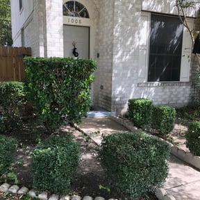 Bush Trimming by GAC Lawn Care reviewed on March 8, 2024