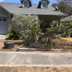 Bush Trimming by JDAA Lawn Care Service LLC reviewed on August 21, 2025