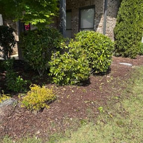 Bush Trimming by Lcn Lawn Care Needs reviewed on April 20, 2026