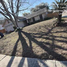 Leaf Removal by Curry's mowing reviewed on February 5, 2026