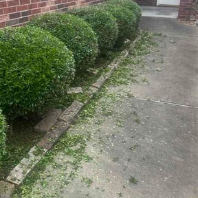 Bush Trimming by Fastcut reviewed on May 4, 2026