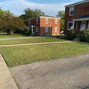 lawn care by Aparicio Lawn Care reviewed on July 8, 2022