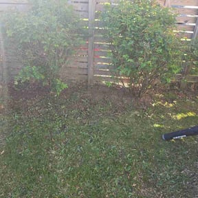 Leaf Removal by Mr. Bigs Lawncare reviewed on April 20, 2026