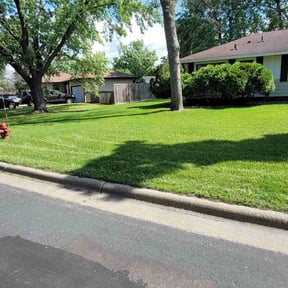 yard maintenance by Richard Kidman reviewed on November 22, 2025