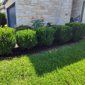 Mulching by Anton Lawn Care reviewed on August 14, 2025