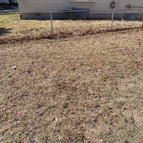 Leaf Removal by DC Property Renovations &amp; Maintenance  reviewed on September 26, 2025