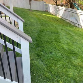 lawn care services by Joe mowing reviewed on May 21, 2024