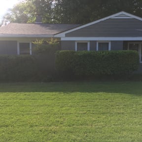Bush Trimming by A.G. Yard service reviewed on August 14, 2025