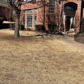 Leaf Removal by Salt City Snow &amp; Lawn, LLC. reviewed on April 28, 2026