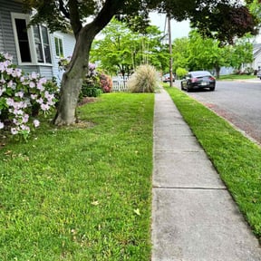 yard service by Undercut Lawn Care reviewed on September 6, 2024