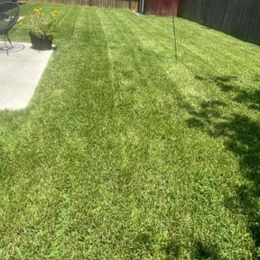 grass maintenance by Eagles Outdoor Services reviewed on August 26, 2023