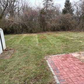 Leaf Removal by Practical Grace reviewed on September 15, 2026