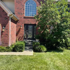 Bush Trimming by Joses Landscaping reviewed on August 19, 2025