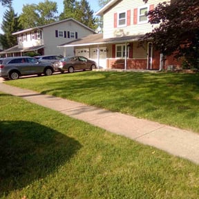 gardening service by Casique landscaping inc. reviewed on November 21, 2025