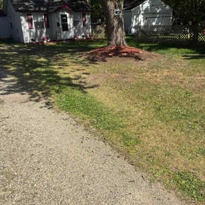 Leaf Removal by ATZLAN OPERATIONS LLC reviewed on May 30, 2026