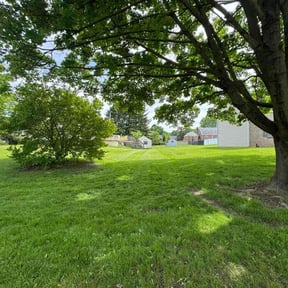 landscaping by Isabell lawn services reviewed on August 15, 2025