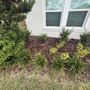 Flower Bed Weeding by We Brother&#039;s Company reviewed on November 20, 2025