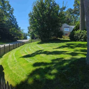 lawn service by Transit LLC reviewed on September 8, 2020